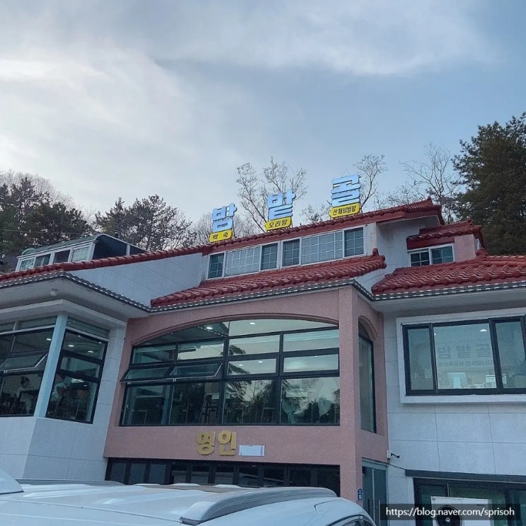  [마산 밤밭고개 맛집] 닭오리 전문 백숙집 밤밭골에서 능이백숙 옻백숙 후기