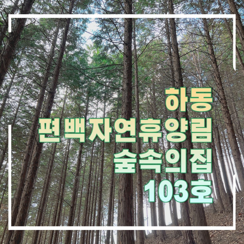 경남 하동편백자연휴양림 힐링 그 자체 솔직후기 103호 명당