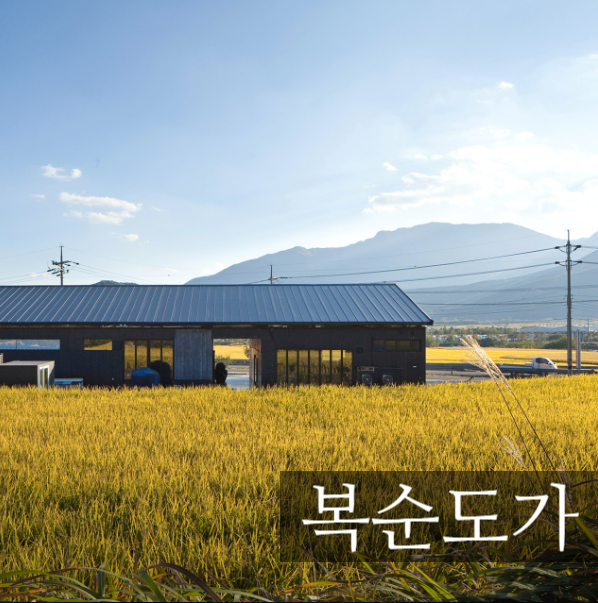  손으로 직접  빚은 순수 생막걸리복순도가 막걸리도가 발효건축 버너큘러 건축이란?