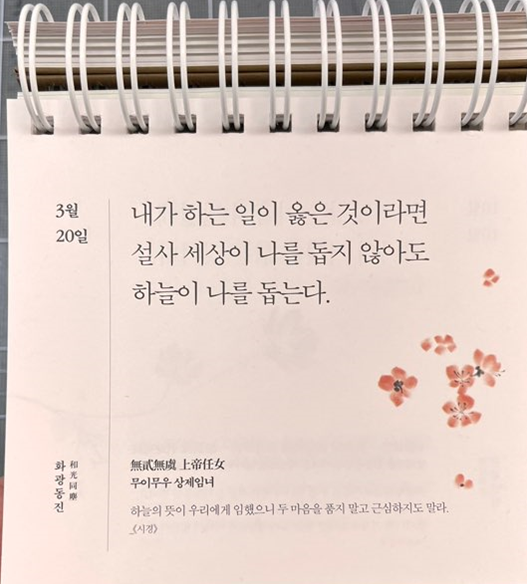  다산 어른의 하루 3월 20일