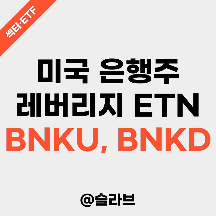  미국 은행주 레버리지 ETN 소개 (BNKU, BNKD)