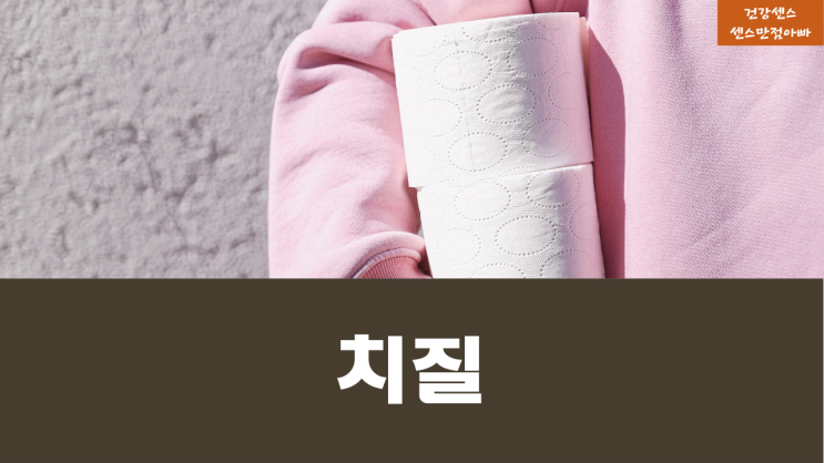  치질 두가지 유형 외치질 내치질 치질 원인 증상 및 자가 치료법 예방법 검사방법