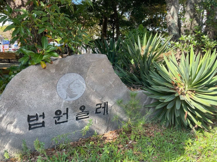  사실혼 인정기간, 재산분할 청구비율, 위자료 금액 사례, 사실혼 해소를 하기 전 알아두어야 할 사항들