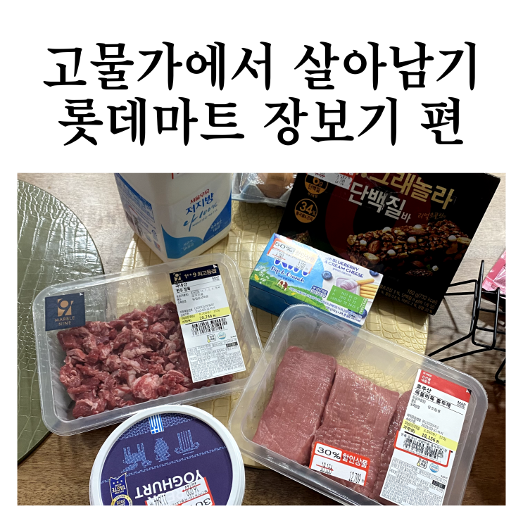  고물가에서 살아남기 - 롯데마트 장보기 편 (파손, 소비기한 임박 할인율)