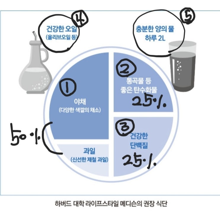  음식과 건강의 상관관계
