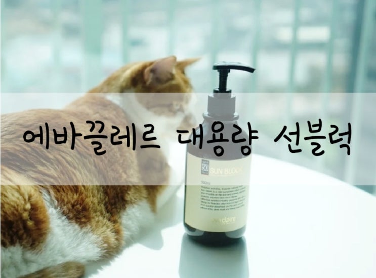  스포츠선크림 야외활동을 위한 대용량 선크림 에바끌레르 선블록
