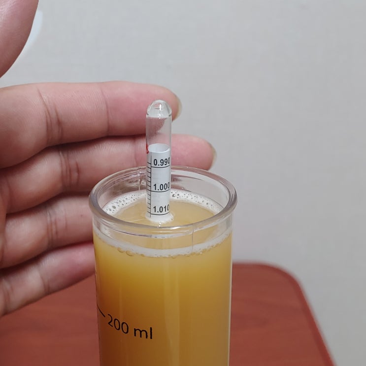  맥주 만들기 - NEIPA - 2 No.2