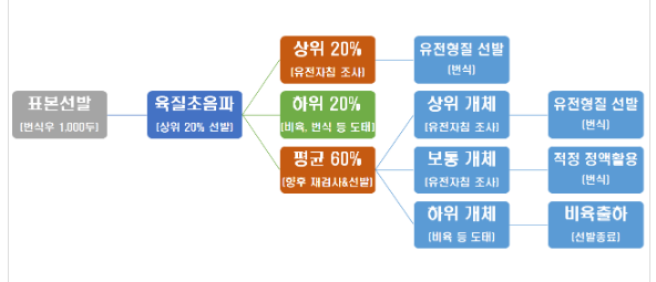 ‘한우 우량 암소 선발 기술’ 설명회 열어 ‘한우 우량 암소 선발 기술’ 설명회 열어