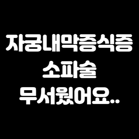 자궁내막증식증 소파술 무서웠어요..