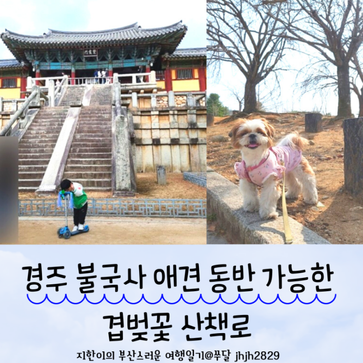  애견동반겹벚꽃산책로 경주불국사주차장
