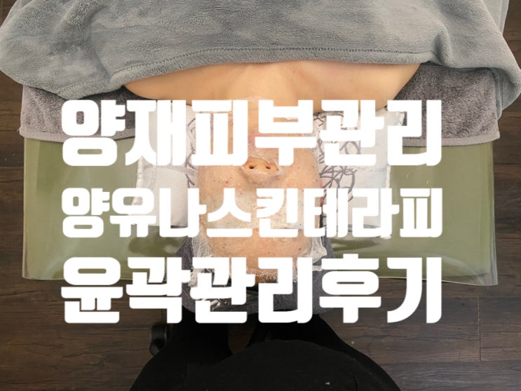  양재 피부관리 양유나 스킨테라피 윤곽관리 후기