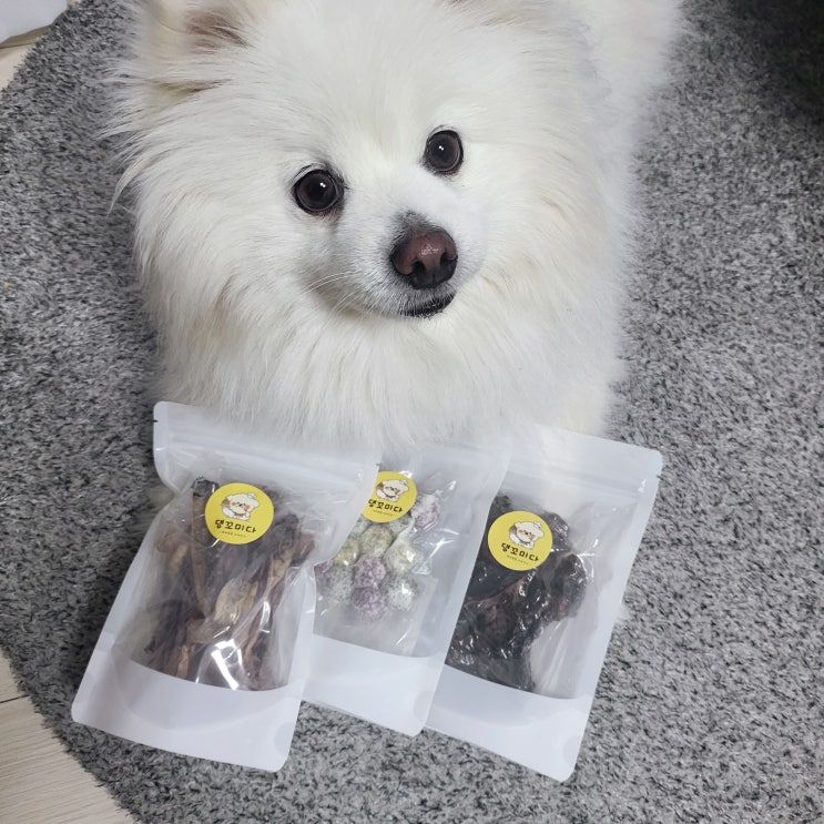  안양애견수제간식 - 엄마의 마음으로 하나하나 정성스럽게 만든 애견수제간식 맛집 댕꼬미다