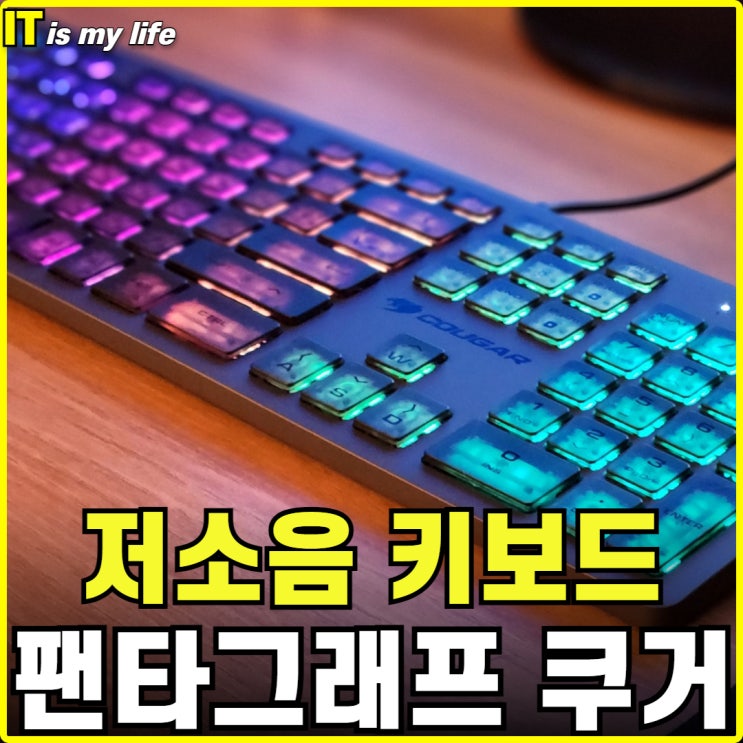  무소음 같은 저소음 쿠거 VANTAR AX SL RGB LED 게이밍 펜타그래프 키보드