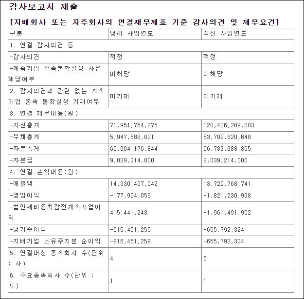  감사보고서 적정 아~~ 찐 눈물난다