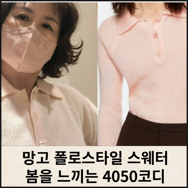  망고 폴로 스타일 스웨터 중년의 봄 피팅해보기
