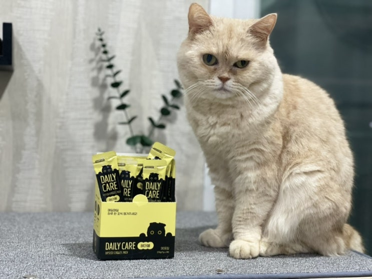  고양이 헤어볼 관리 바잇미 데일리케어 츄르로 영양까지 챙기기