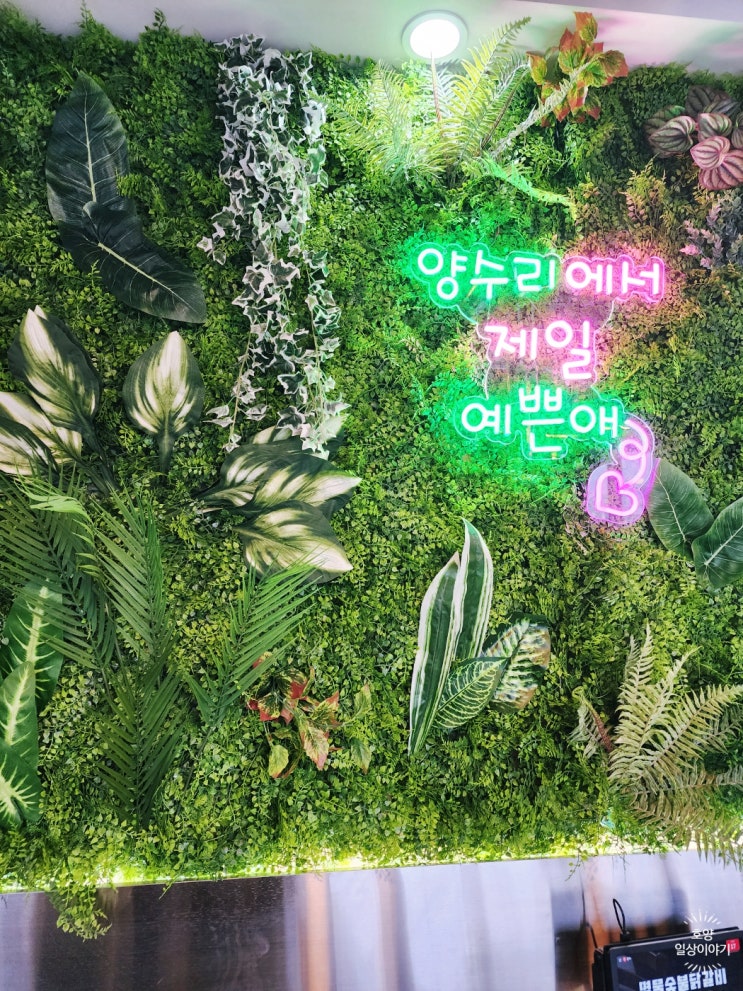  [남양주/두물머리/북한강뷰] 뷰가 멋있는 양수리 닭갈비 맛집 명물숯불닭갈비