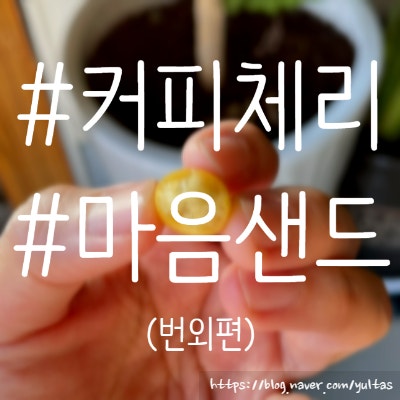  2023년 3월 | 아띠마루 커피랩 & 제주마음샌드