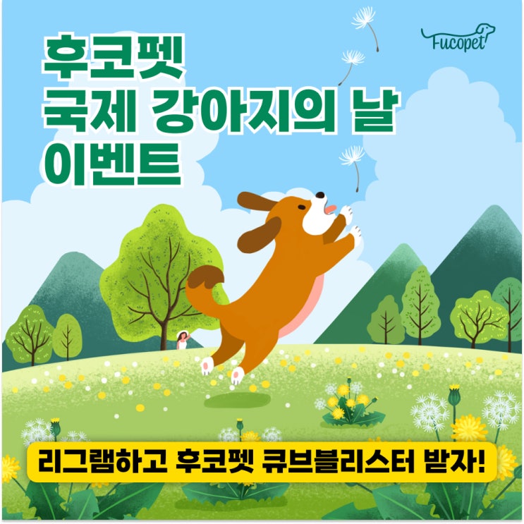  3월 23일 국제강아지의 날, 후코펫이벤트