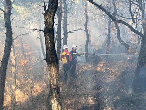  대전현대 아울렛 영장 신청, 산불 화재사고 제공자 처벌, 전기차 화재우려 주차장 진입금지 촉구