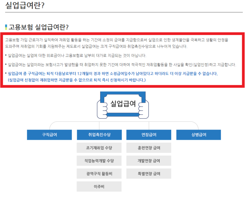 네이버 인플루언서 네이버 인플루언서
