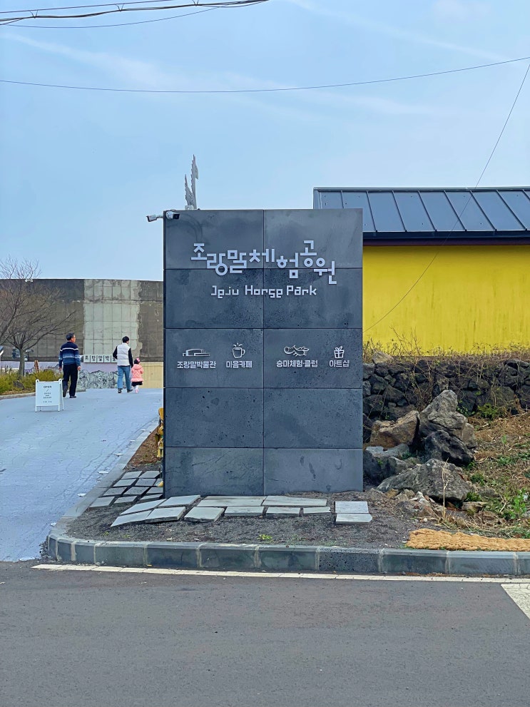 제주도 유채꽃 시기와 명소 7곳 총정리 제주도 유채꽃 시기와 명소 7곳 총정리