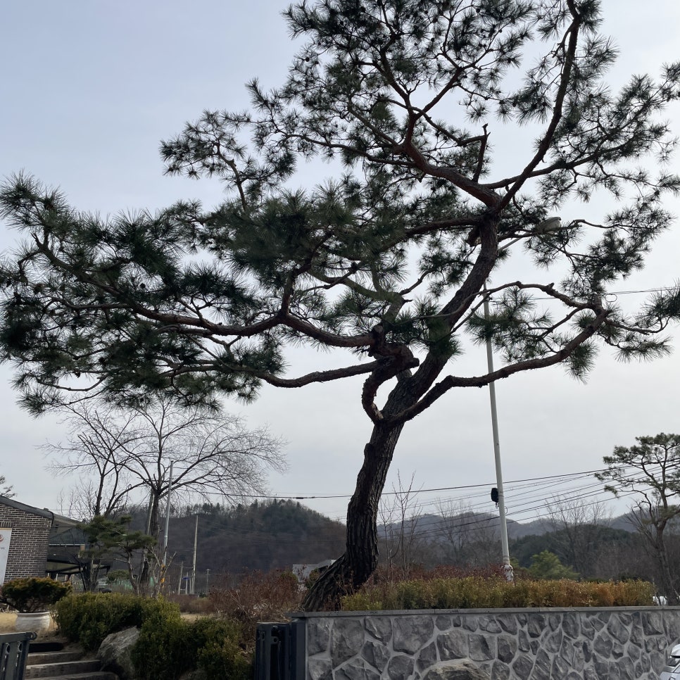 홍성균한의원 사진 3