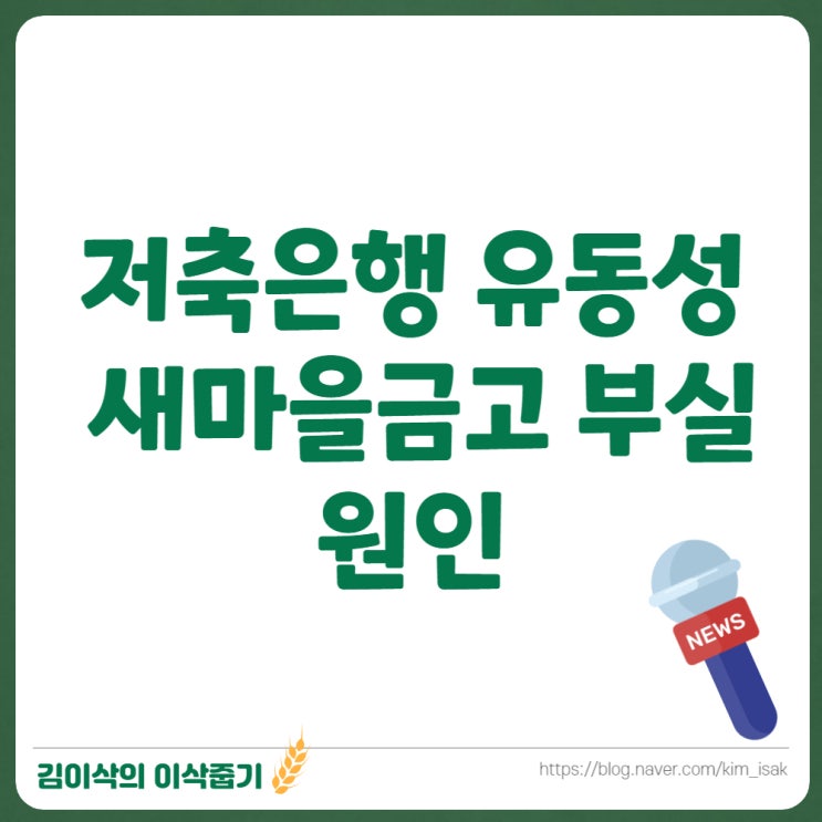  저축은행 유동성 문제와 새마을금고 부실 원인