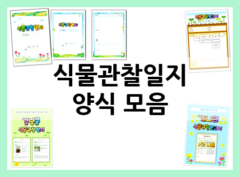  식물 관찰일지에 식물 관찰 내용을 기록해요!