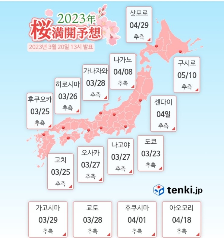 [정보] 2023년 일본 벚꽃 만개 시기