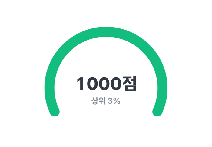 신용점수 1000점 만들기 (신용점수등급표, 신용점수 올리기) 신용점수 1000점 만들기 (신용점수등급표, 신용점수 올리기)