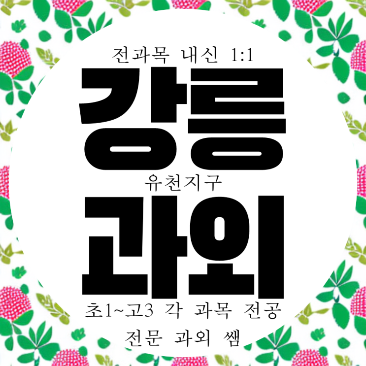  강릉 옥천동 영어과외 국어 교동 수학과외 과학 명륜고 내신 전문