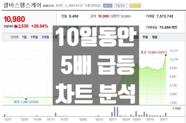  셀바스헬스케어 주가 10일간 500% 급등 차트 일봉 10분 차트 분석
