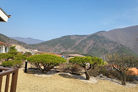 대연상회 이미지