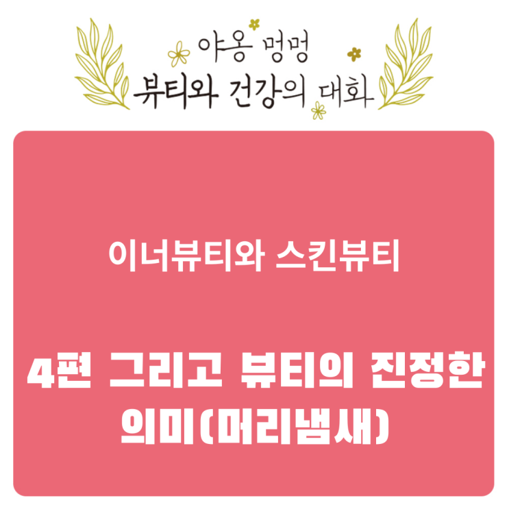 이너뷰티와 스킨 뷰티, 4편 그리고 뷰티의 진정한 의미(머리냄새)