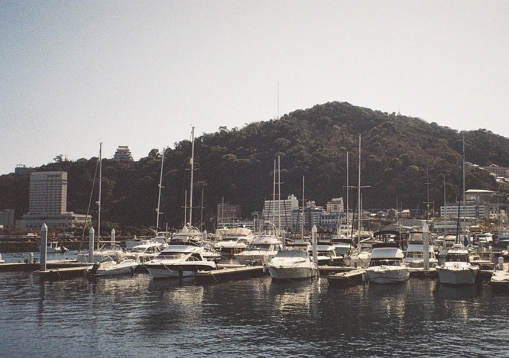  필름카메라, 여덟 번째 롤/Pentax zoom, Kodak Colorplus200