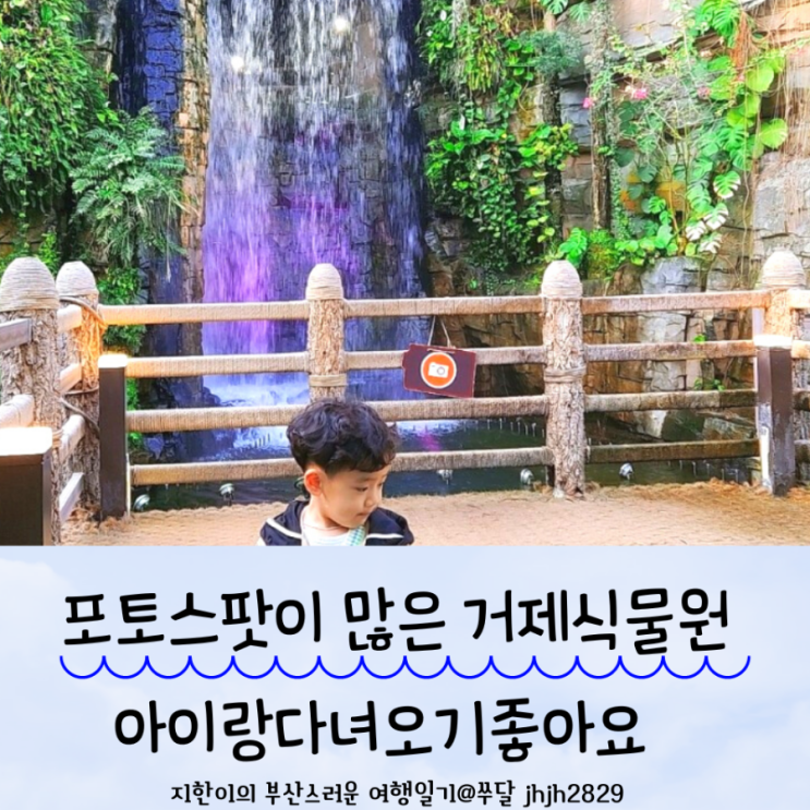  포토스팟이 많은 거제식물원 거제실내아이랑다녀오기좋아요