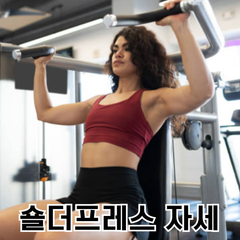 스미스머신 숄더프레스 머신 자세 효과 자극 높이는 사용법 자세히