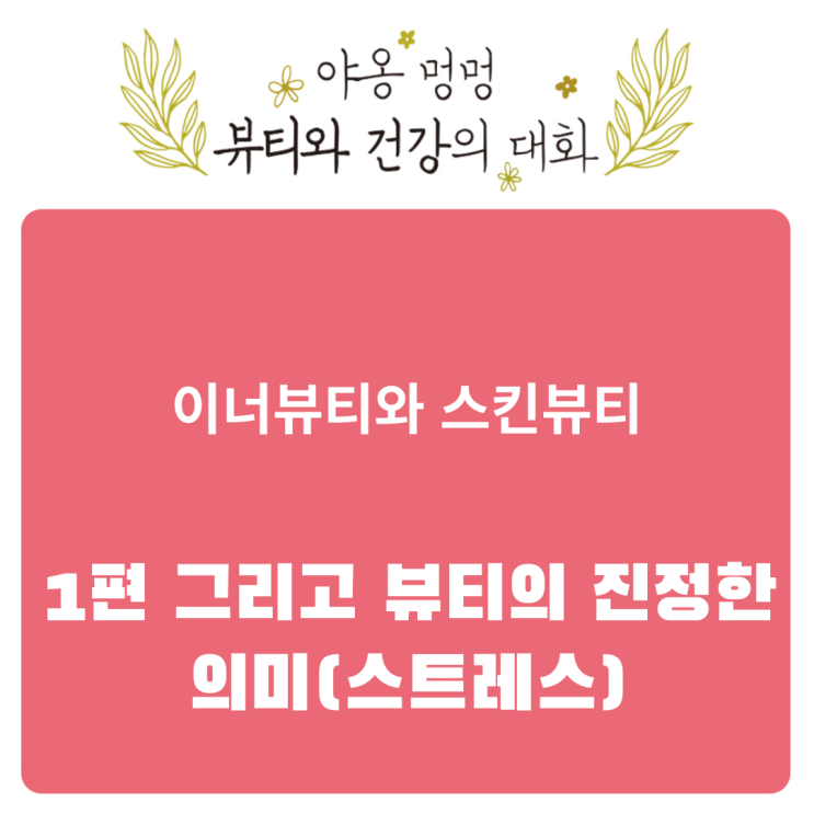  이너뷰티와 스킨 뷰티, 1편 그리고 뷰티의 진정한 의미(스트레스)
