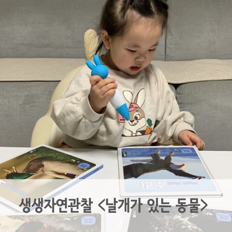  자연관찰전집 읽고 독후활동으로 동물원 다녀왔어요