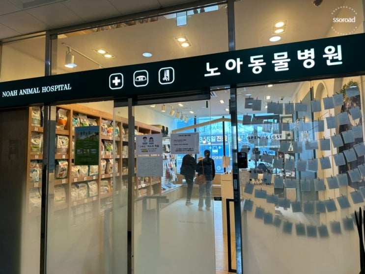  [인천 동물병원 추천] 노아동물병원 :: 과잉진료 없는 고양이 건강검진 후기