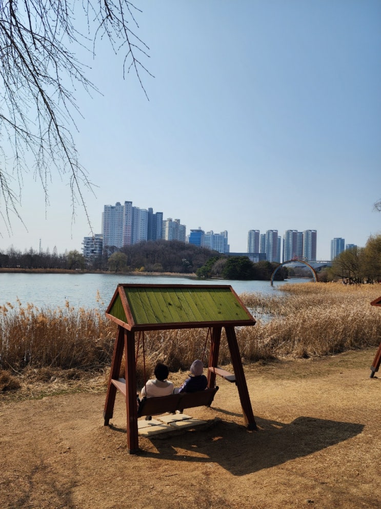  일산호수공원 벚꽃 구경 자전거 타러 가요 / 주차 주차비할인