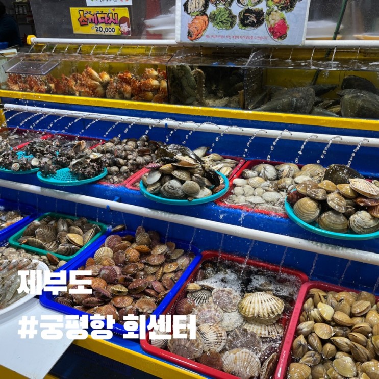제부도 궁평항 회센터 수산시장 ,ft.튀김트럭 먹방