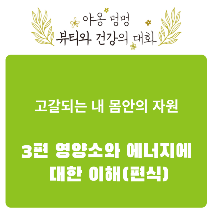  고갈되는 내 몸 안의 자원: 3편 영양소와 에너지에 대한 이해(편식)