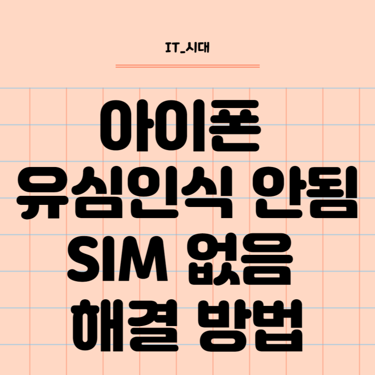  아이폰 핸드폰유심인식 안됨 SIM 없음 오류 해결 방법