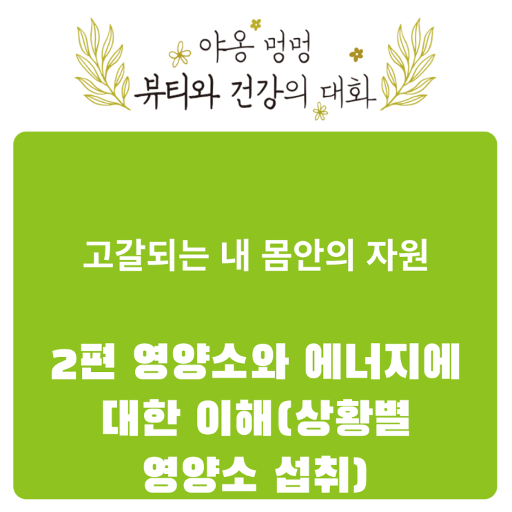  고갈되는 내 몸 안의 자원: 2편 영양소와 에너지에 대한 이해(상황별 영양소 섭취)
