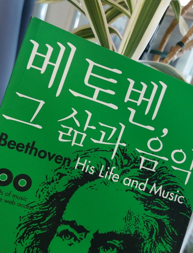 베토벤 바이올린 로망스 2번  F장조 Op.50  피아노 연주