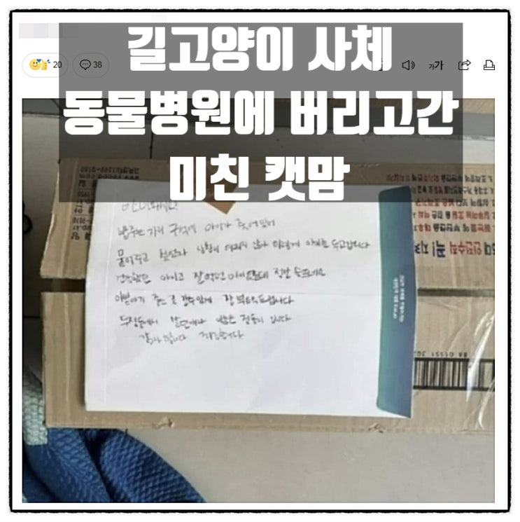  길고양이 사체를 동물병원에 버리고 간 미친 캣맘