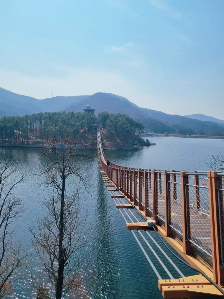  [서울근교-파주] 출렁다리가 있는 마장호수 둘레길