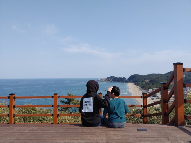 삼척 가볼만한곳 맹방 근덕 덕봉산 산책로